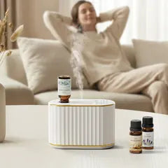 Essénca ONE scenting a relaxing living room